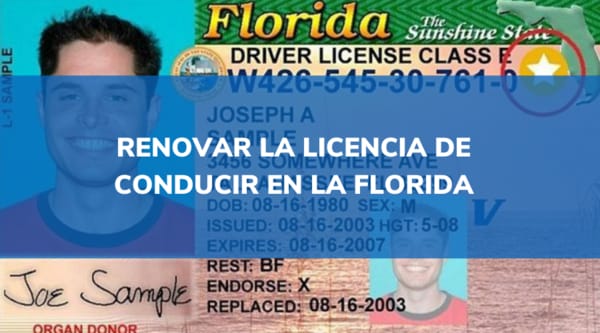 renovar licencia de conducir en la florida