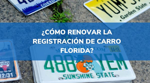 renovar la registración de carro Florida