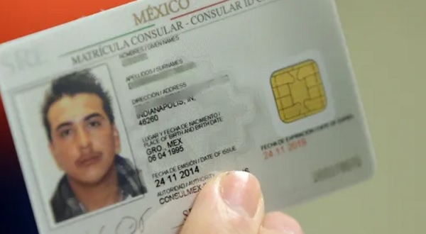 licencia de conducir mexicana